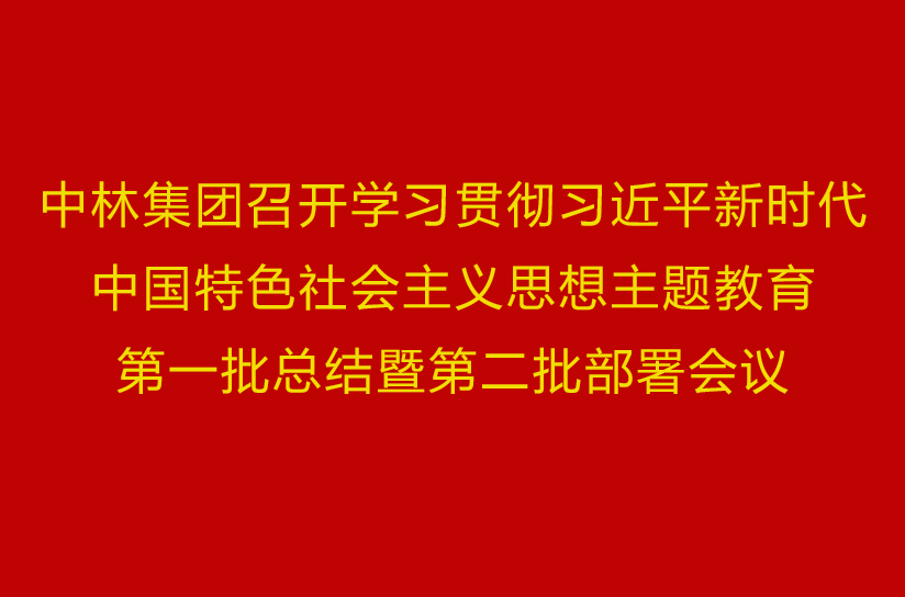 中林集團召開學習貫徹習近平新時(hour)代中國(country)特色社會主義思想主題教育第一(one)批總結暨第二批部署會議