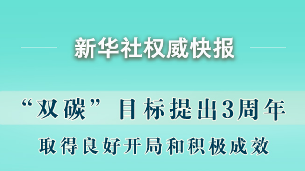 “雙碳”目标提出(out)3周年取得積極成效